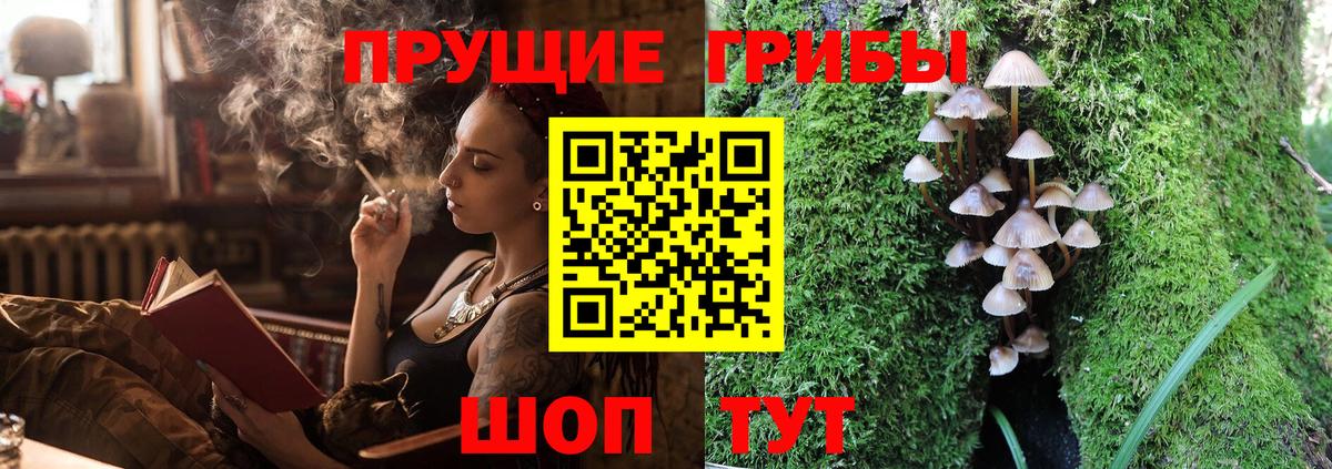 цены наркотик  Вход с VPN  Псилоцибиновые грибы Magic Shrooms  Зеленодольск  Галлюциногенные грибы прущие грибы 