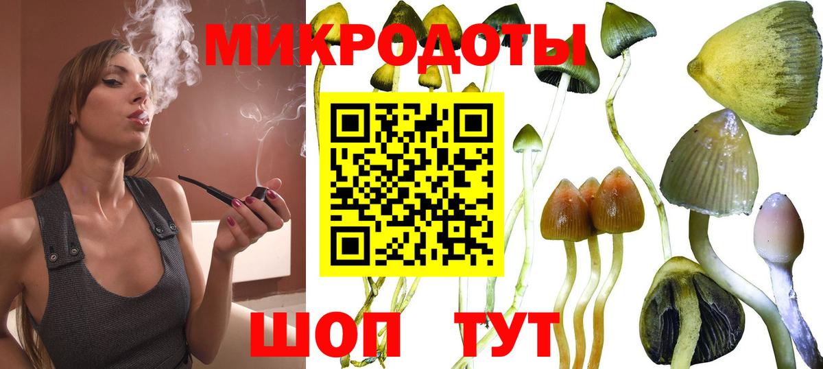Псилоцибиновые грибы мухоморы Зеленодольск